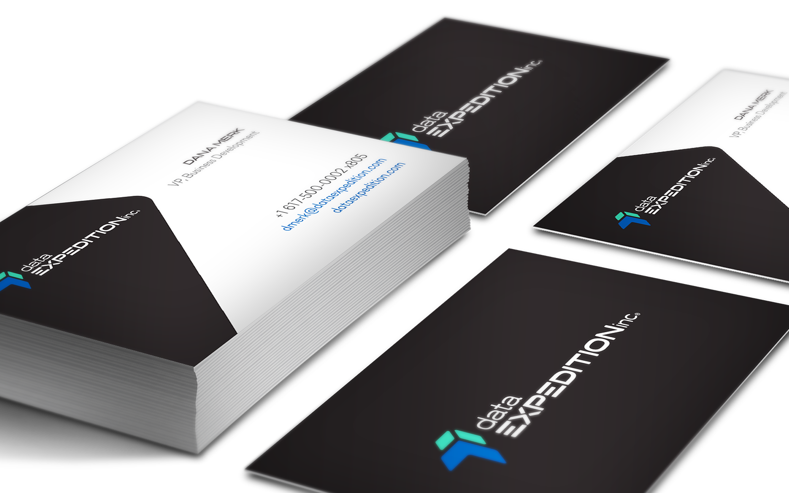 Data Expedition - Business Card Design